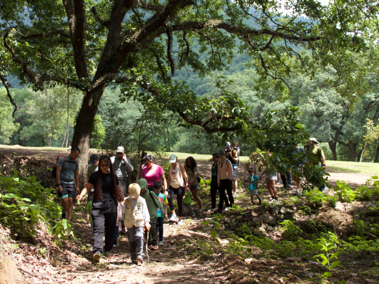Hikes Temáticos