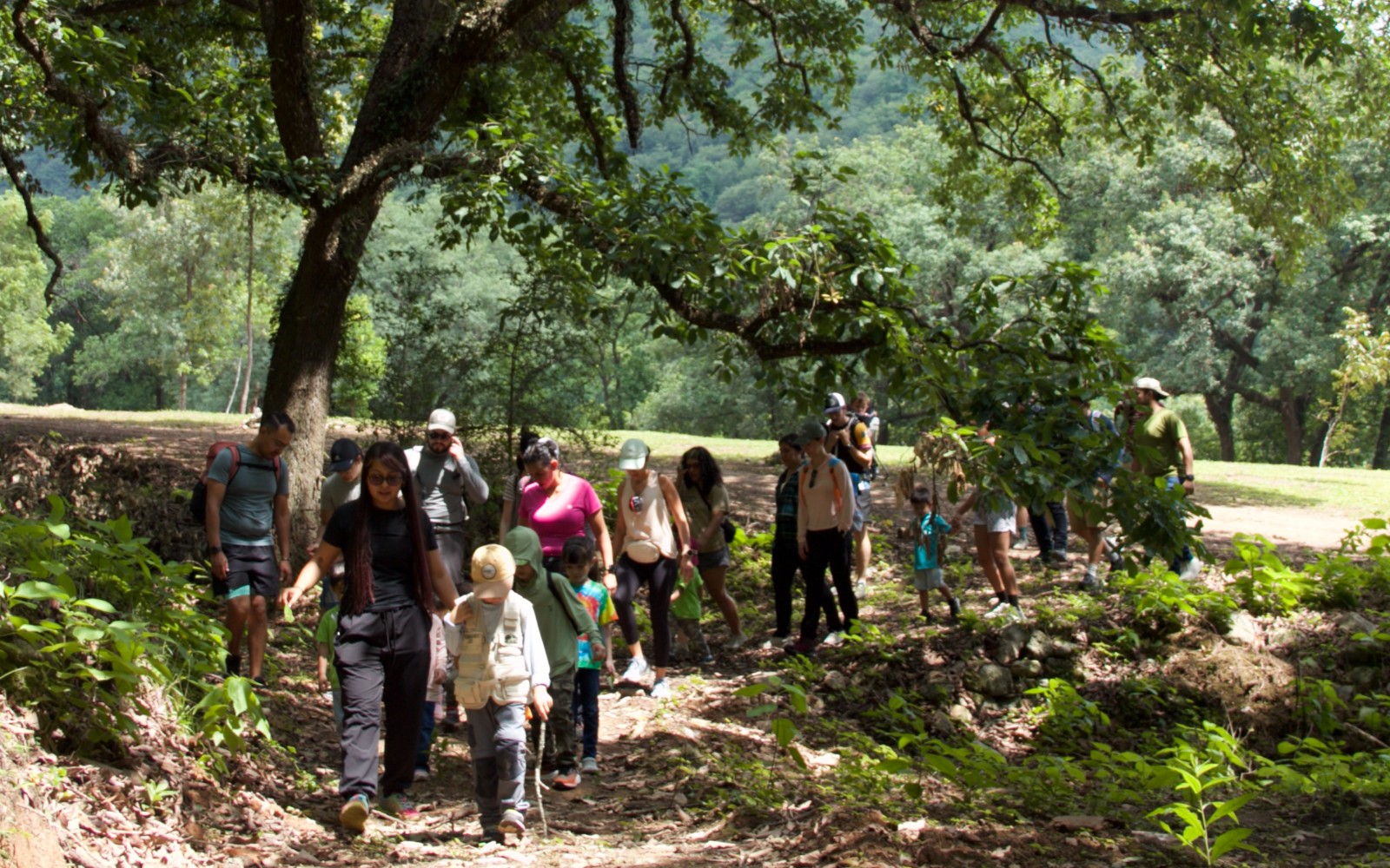 Hikes Temáticos