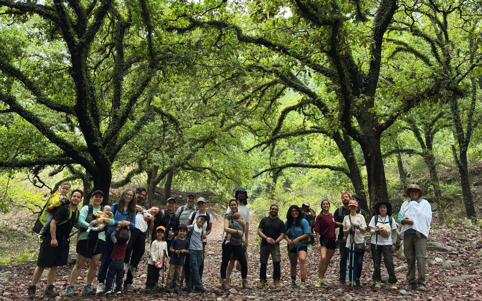 Hike + Picnic Familiar