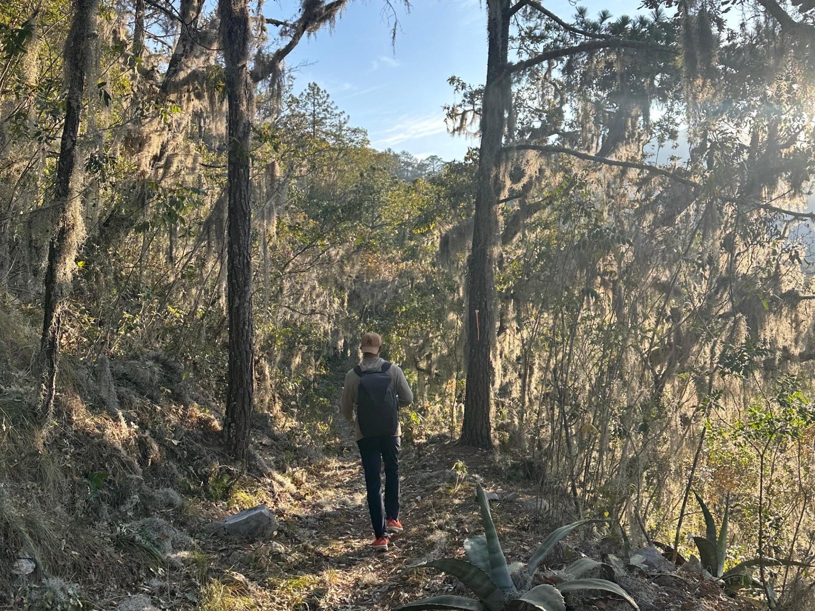 Hike Adultos - Puerto Gringo y las Antenas galería 1